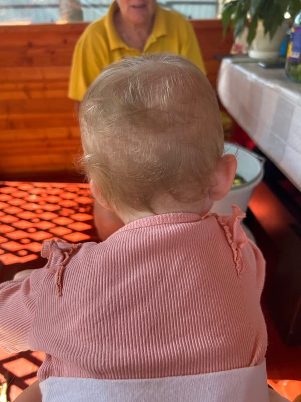 Summer day in Kalitsino: porch life, pickling cucumbers, baby in tow
