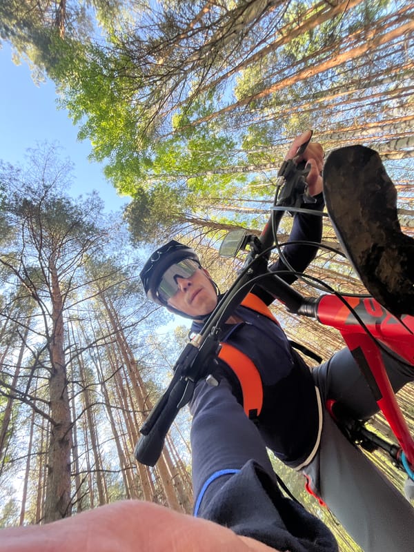 Cyclist documents sunny forest ride near Chaikovsky, Russia