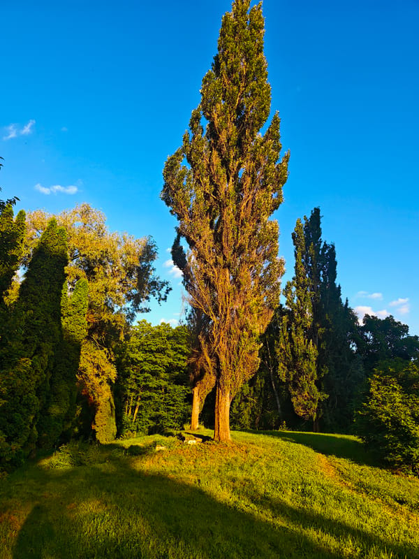 Moscow summer afternoon: parks, red brick history, and modern glass