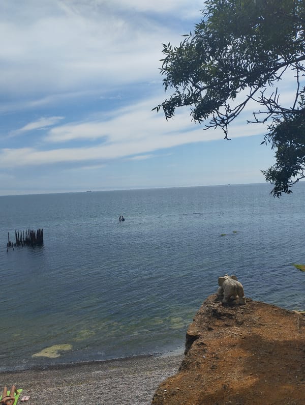 A relaxed day out on the water, beach and paddleboard in view.