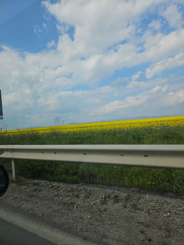 Spring blooms visible from roadside near Drazhevo, Bulgaria