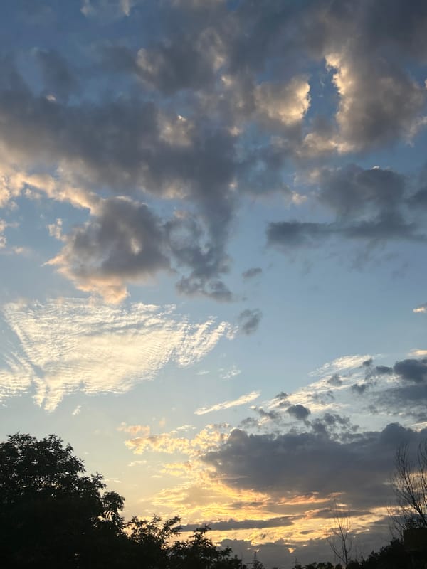 Evening scenes documented across Haskovo, Bulgaria during sunset hours