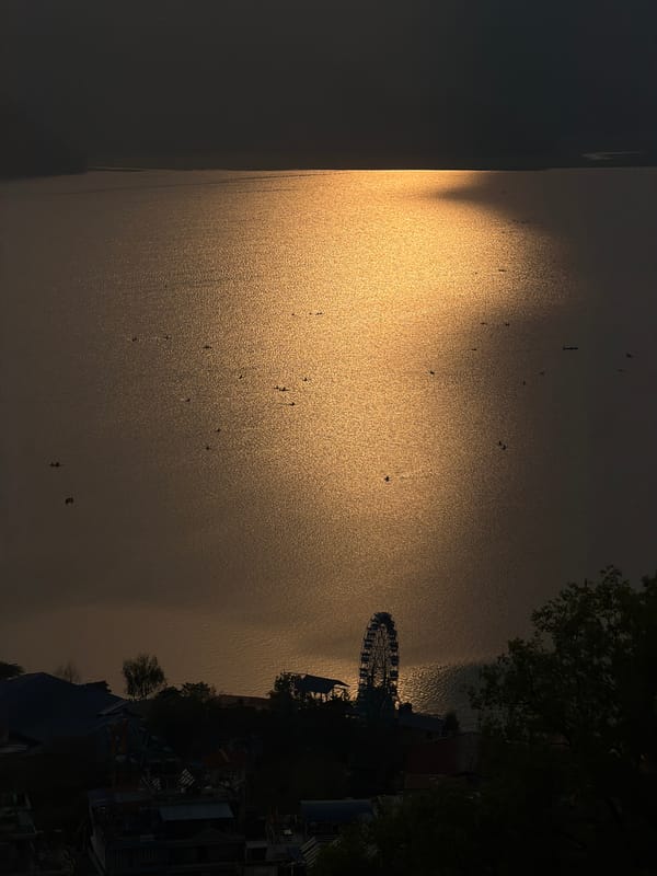 Sunset observed at Phewa Lake, Pokhara with birds overhead