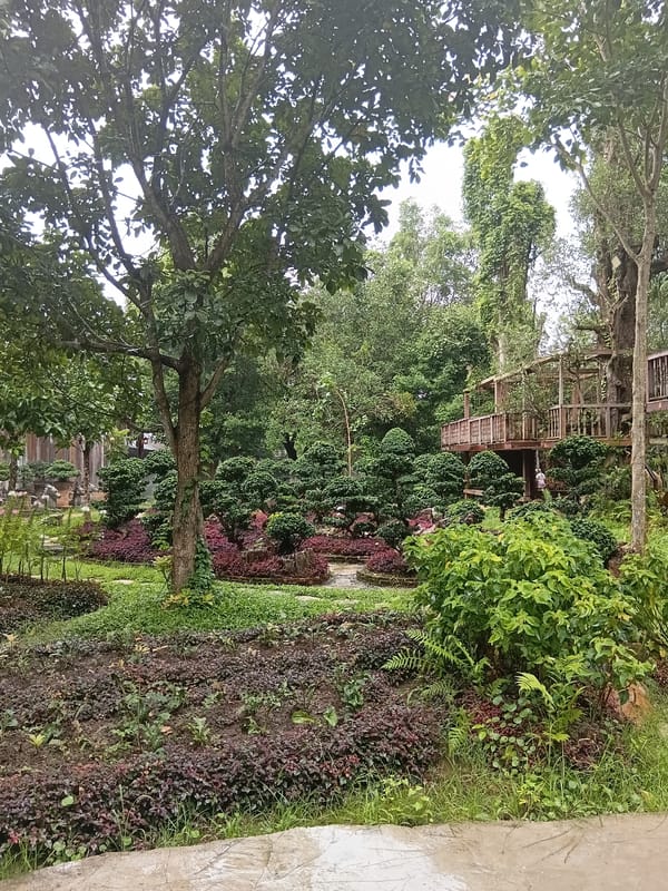 Misty garden park in Ban Pha Sao with waterfalls and forest paths