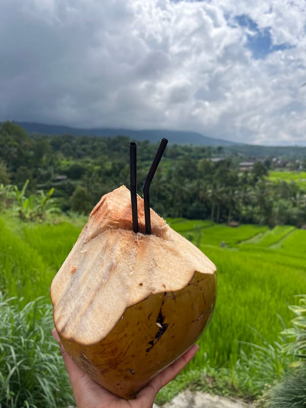 Local foods documented in Penebel: coconut drink and red rice