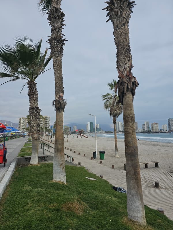 Evening stroll documented along Iquique's coastal promenade and parks