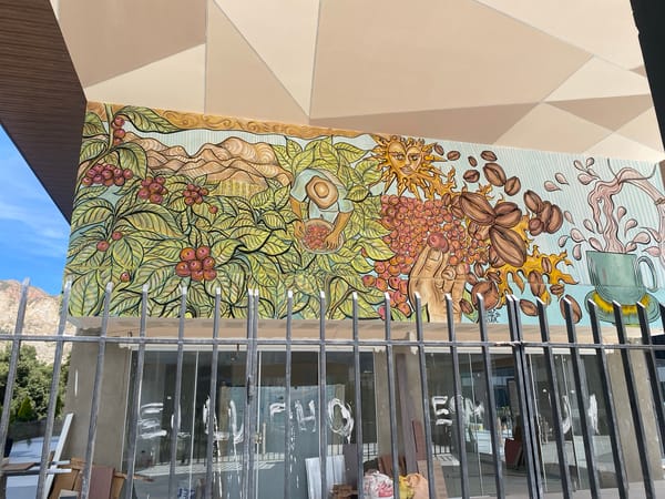 Urban observer documents La Paz streetscape and Plaza 21 Mall