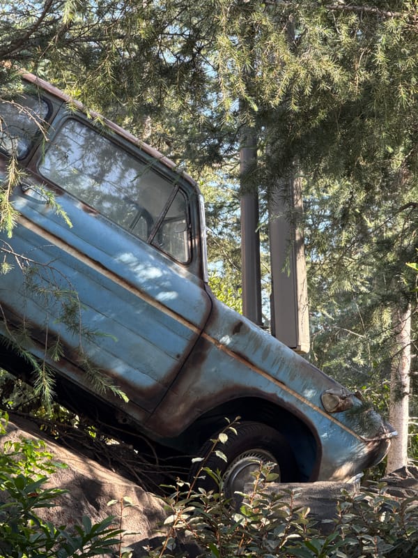 Rusted vehicle found wedged against tree in apparent collision