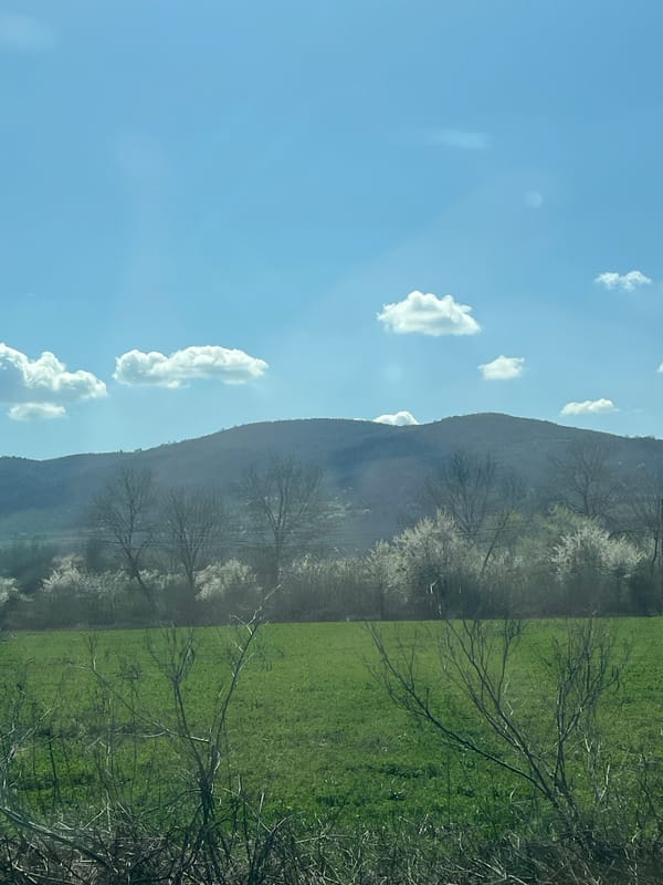 Spring landscape photographed near Peshtera, Bulgaria