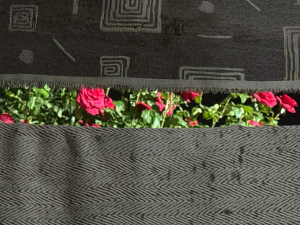 Witness captures fabric detail, greeting graphic, beverage moment