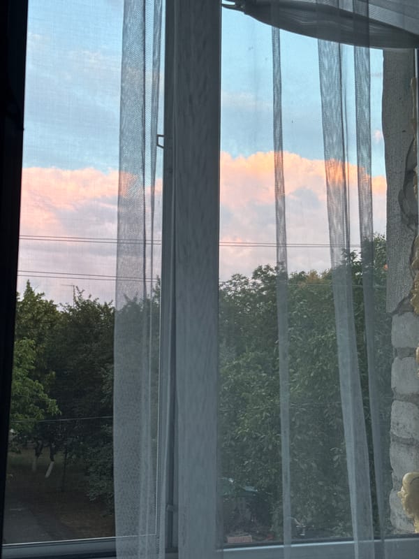 Sunset evening at a quiet rural home, cat and garden included