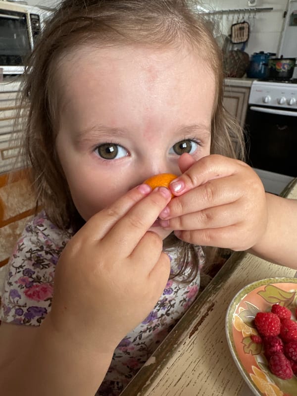 Backyard summer afternoon in Yaroslavka — berries, blooms, and play