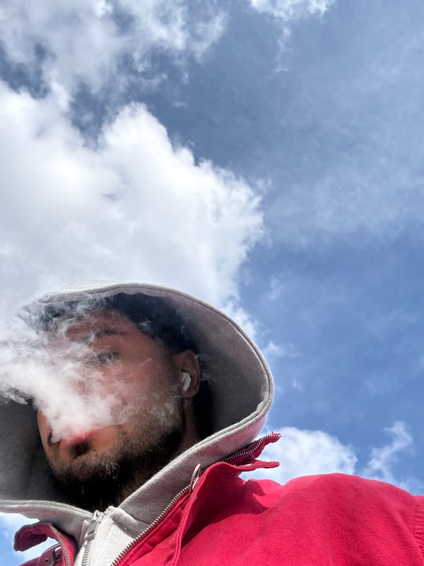 Afternoon dog walk and casual moments in Luxembourg