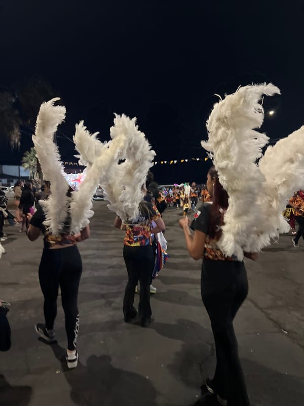 Costumed parade groups fill Arica's streets at night