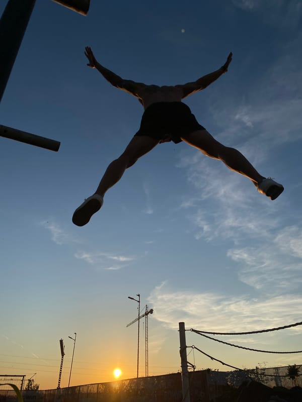 Outdoor fitness training session documented during twilight in Pleven