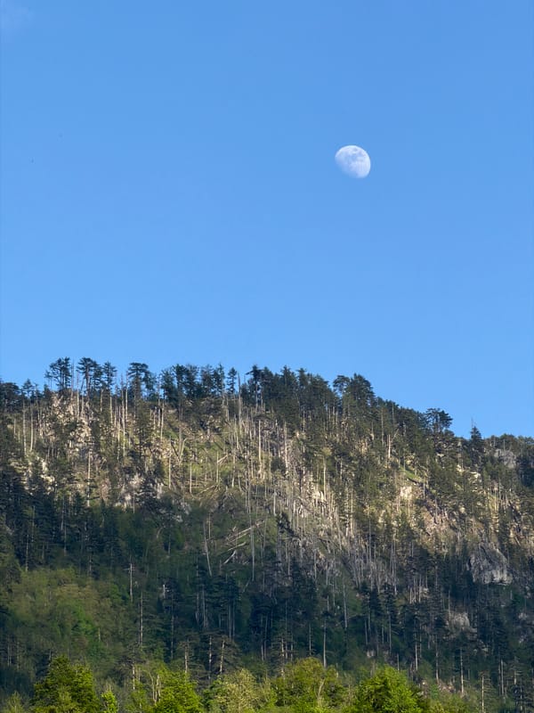 Rural Montenegro countryside documented in pastoral photo sequence