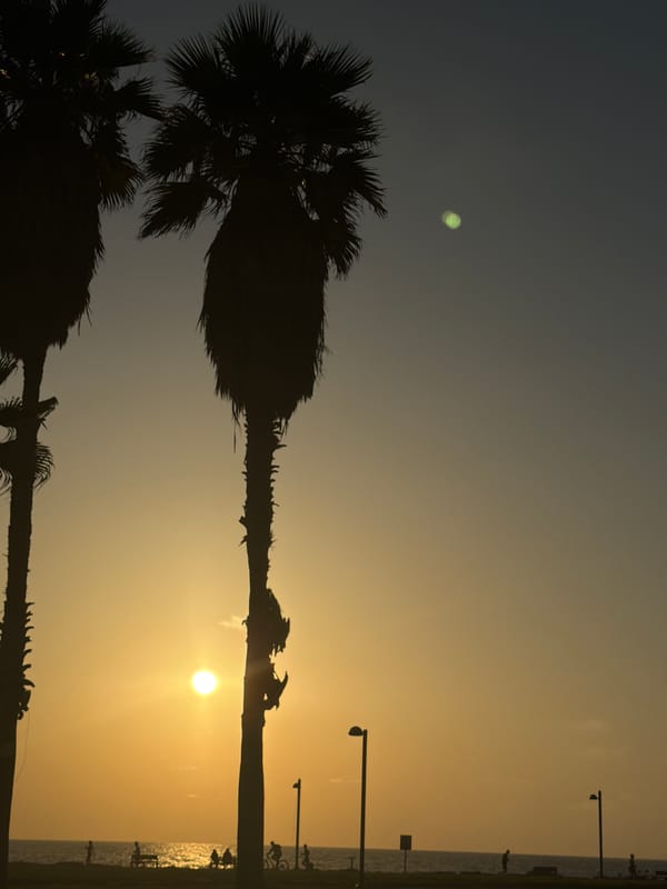 Sunset on the Tel Aviv beachfront, corgi in tow