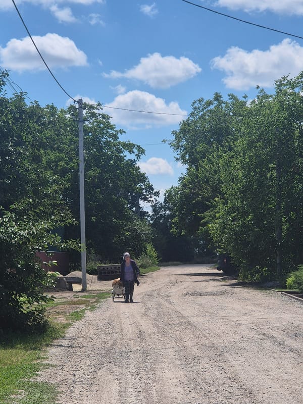 A calm July morning in rural Sozonivka, Ukraine