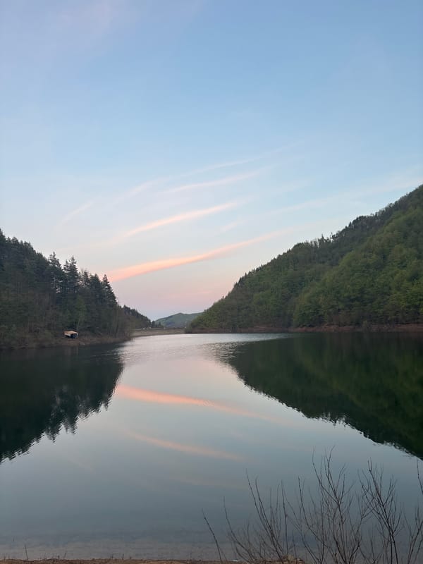 Still waters create perfect reflections near Alamovtsi, Bulgaria