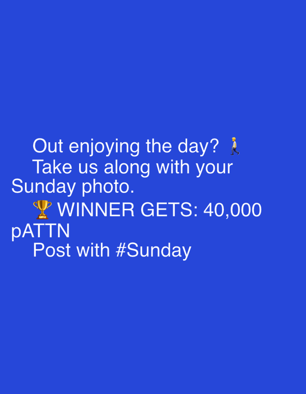 Sunday morning in Męcina: cars, ponies, and social contests