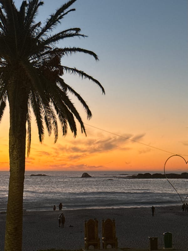 Urban beach sunset captured with palm tree silhouette