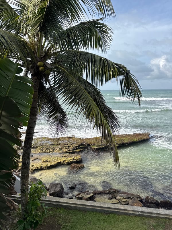 Coastal morning at Goviyapana's rocky shoreline, Sri Lanka