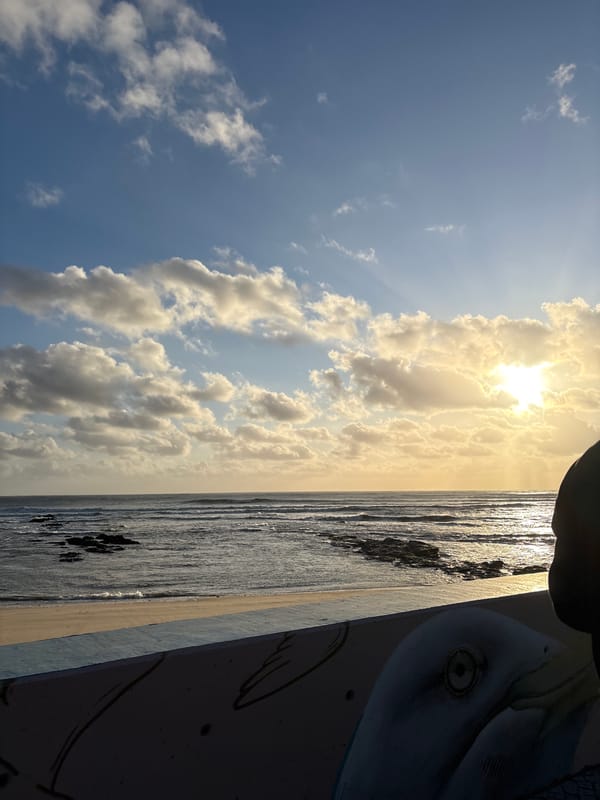 Person spends afternoon on park bench near playground, beach