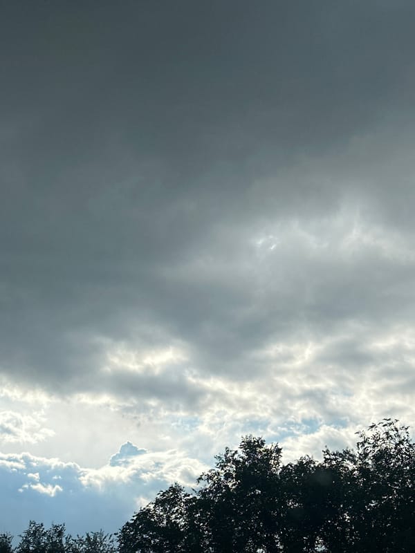 Storm light and wet nature details after passing weather