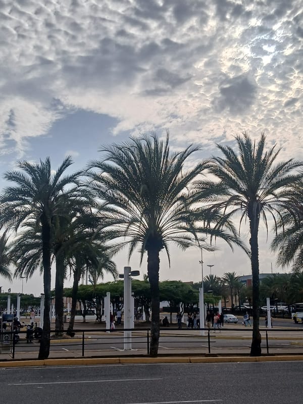 Evening scenes from Ciudad Guayana shopping and recreation areas