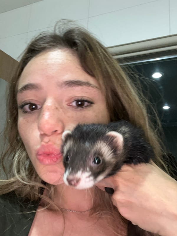 Late-night ferret care documented in Mexican town