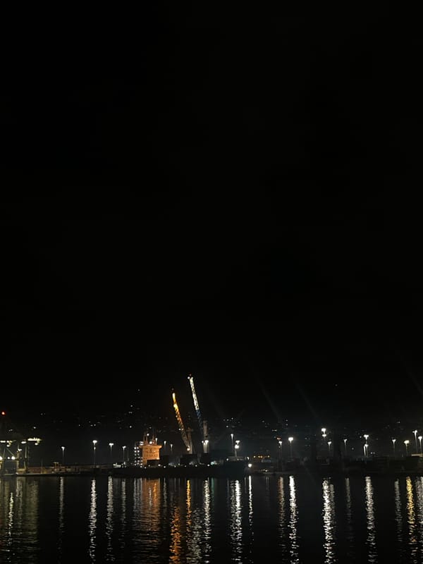 Nighttime crane and pier activity documented by witnesses