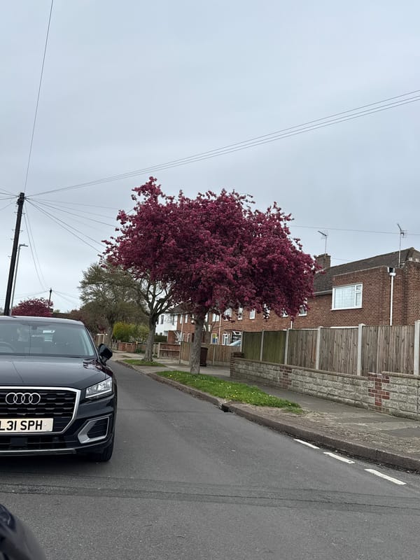 Black Audi SUV parked on Gorleston-on-Sea residential street