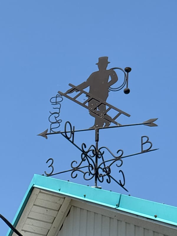 Summer morning details in a Russian village: flowers, a dog, a weathervane