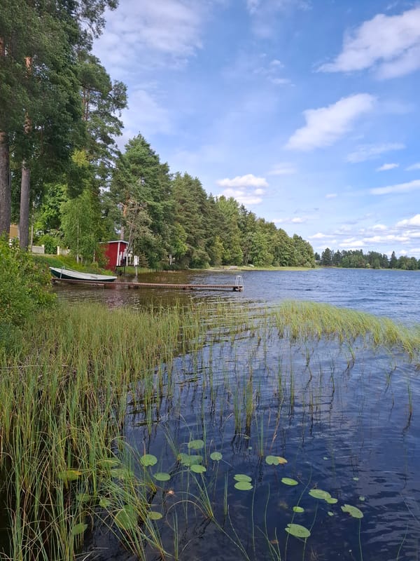 A Finnish summer morning by the lakes of Mikkeli