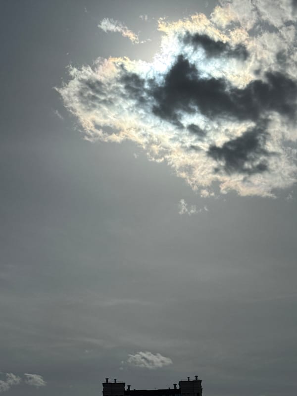 Person and cat share quiet morning moments amid dramatic skies