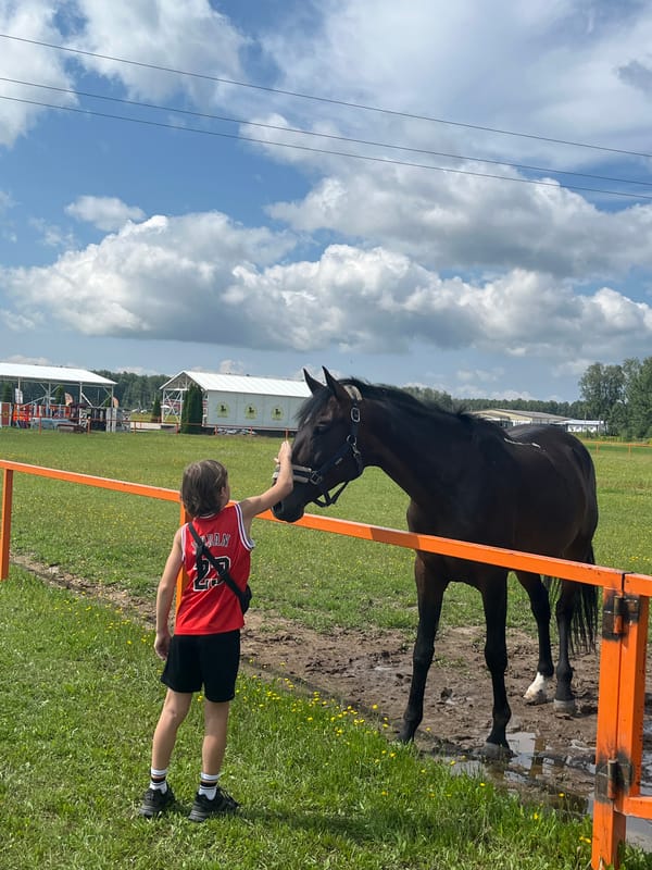 Morning at a Russian stable: horses, riders, and close encounters