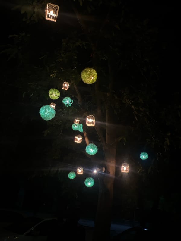 Evening decorative lighting displays illuminate Islamabad streets