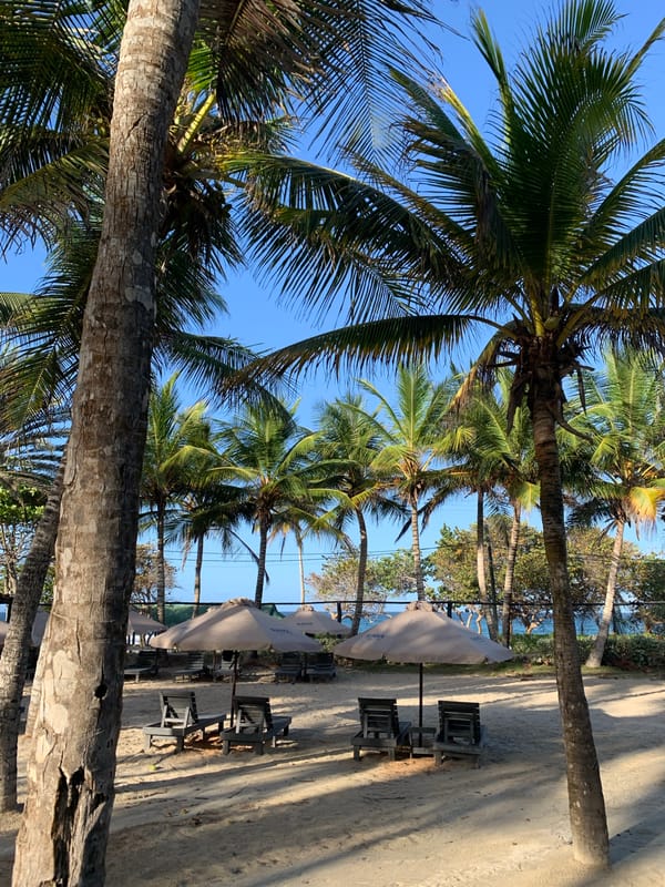 Resort guest documents Venezuelan island hotel amenities and facilities