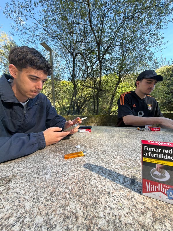 Afternoon leisure moments captured in Vila Real park area