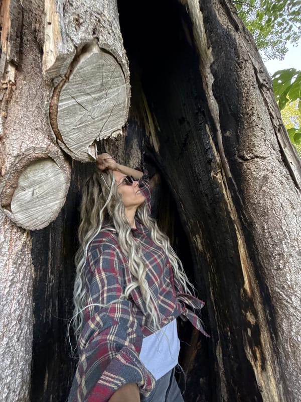 Person rests inside hollow tree trunk in rural Russia