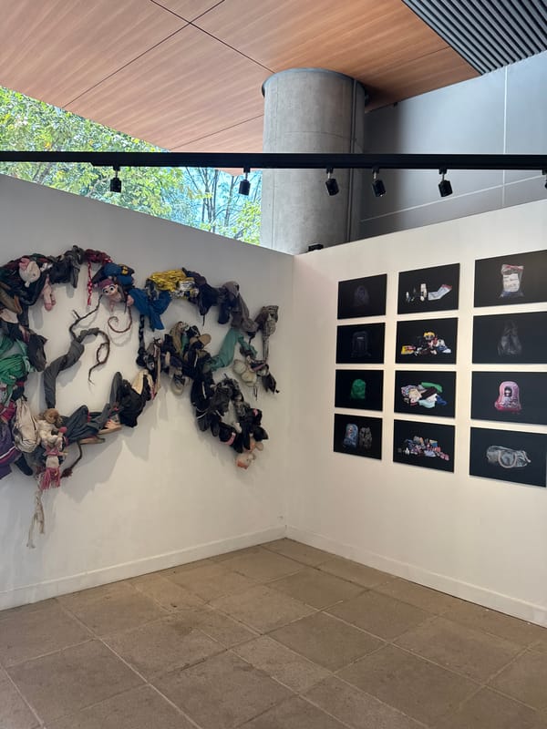 Contemporary art exhibition documented at Mexico City gallery