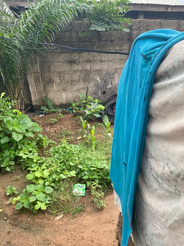 Inside a Jalingo compound: tools, firewood, and daily household scenes
