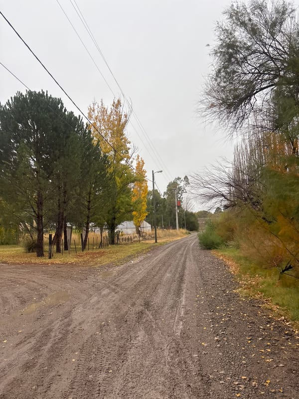 Autumn evening captured on muddy rural road in Trelew