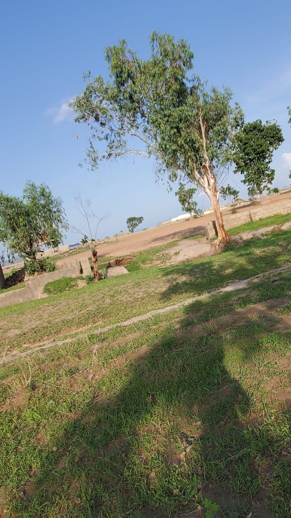 Construction and rural landscapes documented across Jalingo, Nigeria