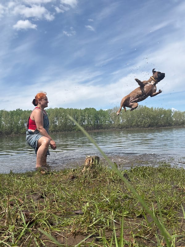 Dog and owner play at lake near Chaikovsky, Russia