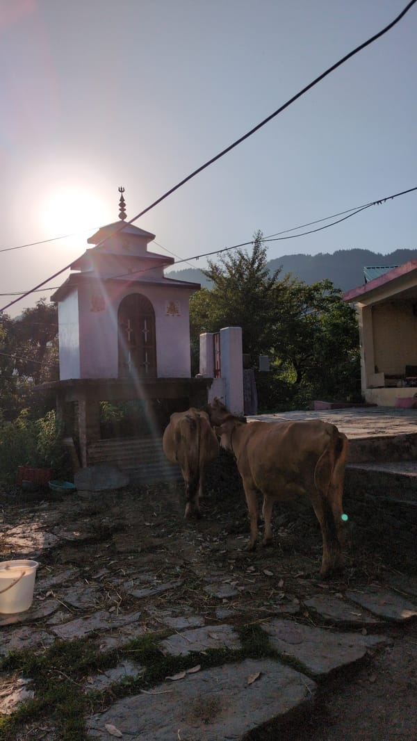 Rural life documented in Haini, India hillside community