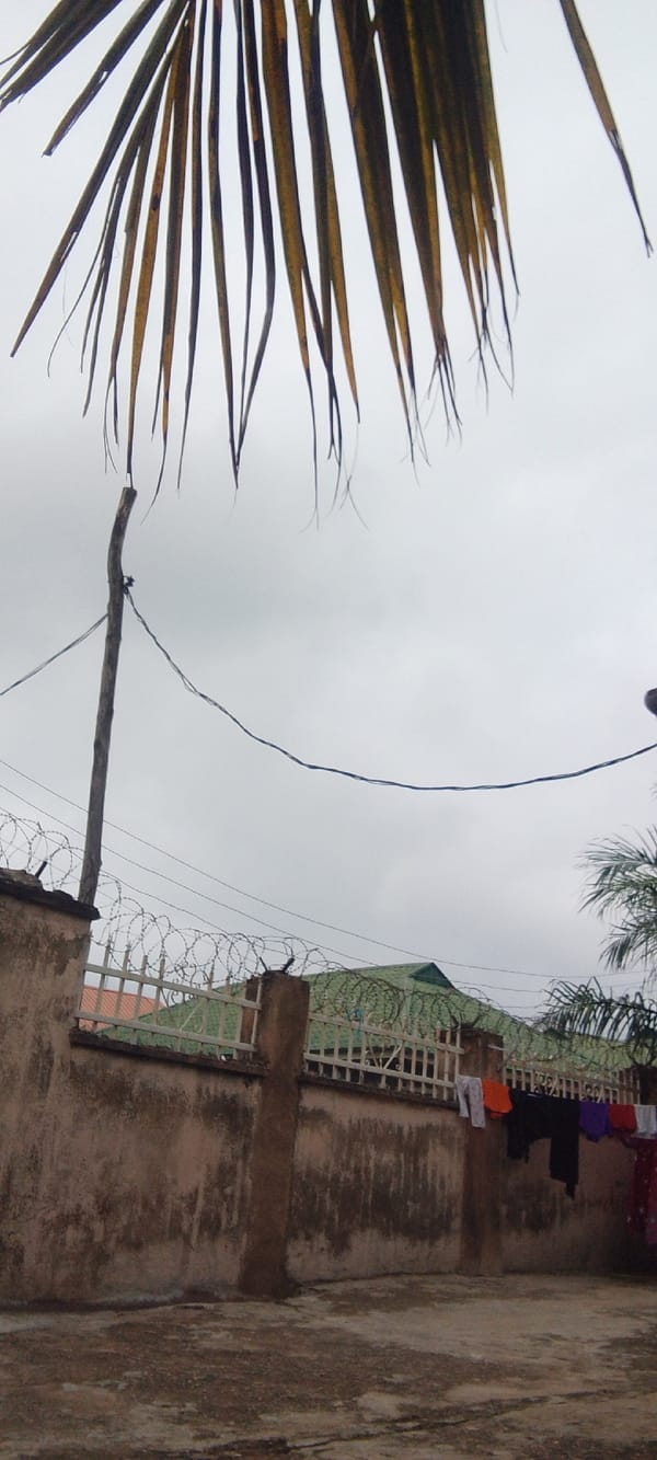 Witness documents fenced boundary and coconut palm tree