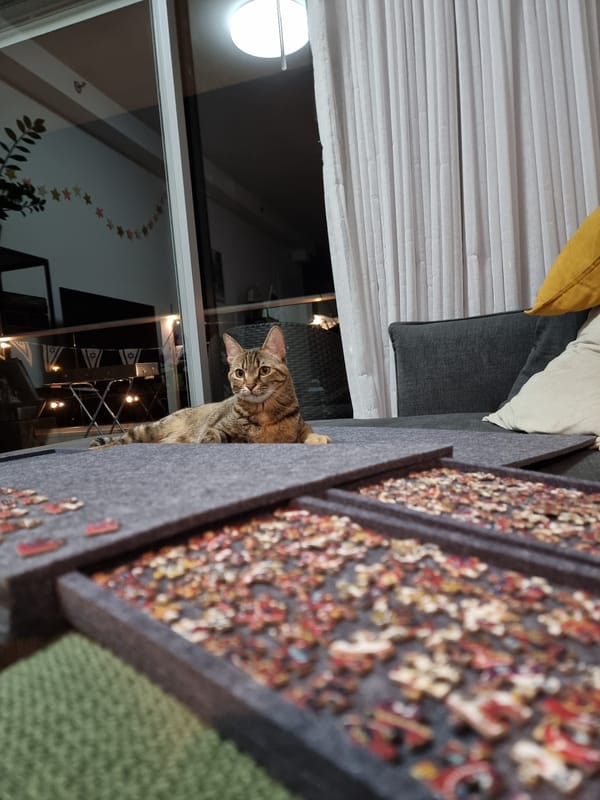 Tabby cat spotted indoors in Ramat Gan evening scene