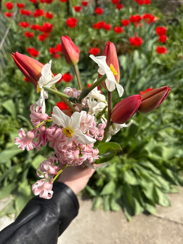 Spring flower bouquet spotted in Bulgarian village
