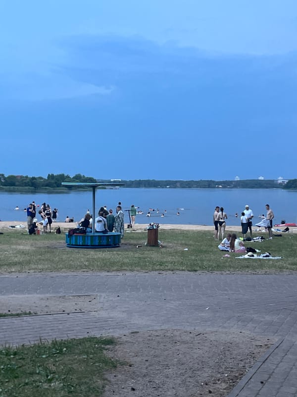 Busy summer afternoon at a lakefront park